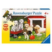 Puzzle Petrecerea Cateilor, 60 Piese ARTRVSPC09526