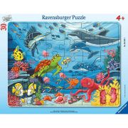 Puzzle Tip Rama Animale Marine, 30 Piese ARTRVSPC05566