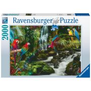 Puzzle Papagali In Jungla, 2000 Piese ARTRVSPA17111