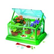 PRIMA SERA BIOLOGICA STIINTA SI JOACA VIV1026-50351