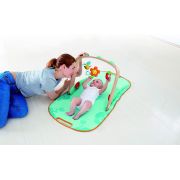 HAPE CENTRU DE JOACA PENTRU BEBELUSI VIVHapeE0045