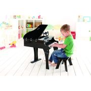 HAPE PIAN CU SCAUN VIVHapeE0320
