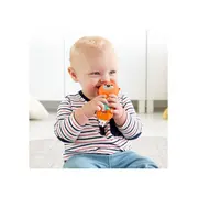 FISHER PRICE JUCARII ZORNAITOARE VIDRA VIVMTGHL23_FXC21