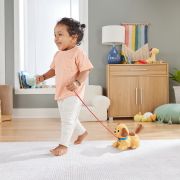 FISHER PRICE CATELUS ADORABIL VIVMTH9447