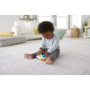 FISHER PRICE CONTROLLER INTERACTIV IN LIMBA ROMANA VIVMTGXR66
