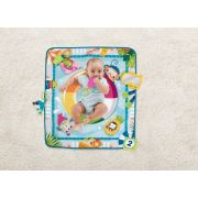 FISHER PRICE COVORAS CU ACTIVITATI VIVMTGRR44