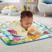 FISHER PRICE COVORAS CU ACTIVITATI VIVMTGRR44