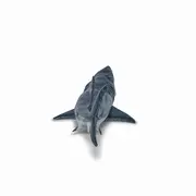 PAPO FIGURINA MEGALODON VIVPapo55087