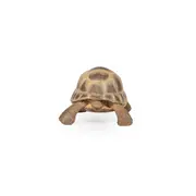 PAPO FIGURINA TESTOASA DE USCAT VIVPapo50264