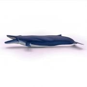 PAPO FIGURINA BALENA ALBASTRA VIVPapo56037