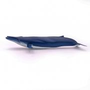 PAPO FIGURINA BALENA ALBASTRA VIVPapo56037