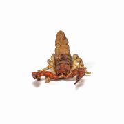 PAPO FIGURINA SCORPION VIVPapo50209