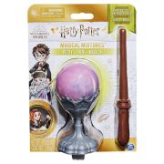 HARRY POTTER GLOB POTIUNI MAGICE ROZ VIV6062565_20134294