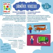 JOC VEHICULE VIV02090