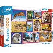PUZZLE TREFL 1000 NATURA SALBATICA VIV10673