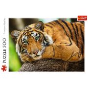 PUZZLE TREFL 500 PORTRETUL TIGRULUI VIV37397
