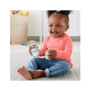 FISHER PRICE JUCARII ZORNAITOARE ARICII GEMENI VIVMTGHL23_FXC22