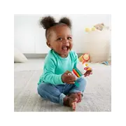 FISHER PRICE JUCARII ZORNAITOARE LAMA MULTICOLORA VIVMTGHL23_FXC20