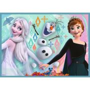 PUZZLE TREFL 4IN1 FROZEN 2 UIMITOAREA LUME DISNEY VIV34381