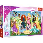 PUZZLE 100 PRINTESELE SARMANTE VIV16417