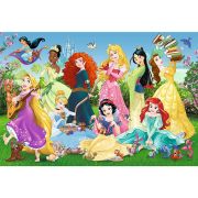 PUZZLE 100 PRINTESELE SARMANTE VIV16417