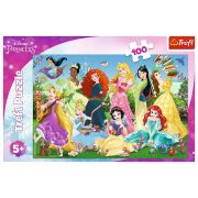 PUZZLE 100 PRINTESELE SARMANTE VIV16417