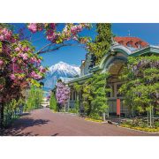PUZZLE 2000 MERANO ITALIA VIV27115