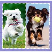 PUZZLE TREFL 3IN1 CATELUSII ADORABILI VIV34854