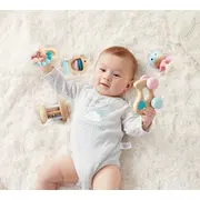 HAPE SET 5 JUCARII ZORNAITOARE VIVHapeE0108