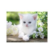 Puzzle Pisicuta Alba, 1500 Piese ARTRVSPA16243