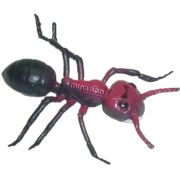 Set de 12 figurine insecte miniland - okeml27480