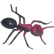 Set de 12 figurine insecte miniland - okeml27480