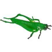 Set de 12 figurine insecte miniland - okeml27480