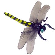 Set de 12 figurine insecte miniland - okeml27480