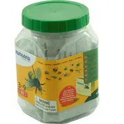 Set de 12 figurine insecte miniland - okeml27480