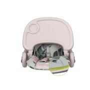 Lionelo - Scaun de masa Reglabil, 4 Pozitii pe inaltime, Spatar reglabil in 3 pozitii, Pliabil, Zanna, din Metal, Roz BYNLO-ZANNA_PINK_BUBBLEGUM
