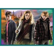 PUZZLE TREFL 10IN1 HARRY POTTER IN LUMEA LUI HARRY POTTER VIV90392