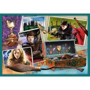PUZZLE TREFL 10IN1 HARRY POTTER IN LUMEA LUI HARRY POTTER VIV90392