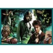 PUZZLE TREFL 10IN1 HARRY POTTER IN LUMEA LUI HARRY POTTER VIV90392