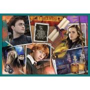 PUZZLE TREFL 10IN1 HARRY POTTER IN LUMEA LUI HARRY POTTER VIV90392