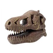 Kit de sapat - craniu t-rex de muzeu bk2130
