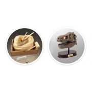 Kit de sapat - craniu t-rex de muzeu bk2130