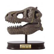 Kit de sapat - craniu t-rex de muzeu bk2130