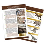 Kit de sapat - craniu t-rex de muzeu bk2130