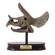 Kit de sapat - craniu triceratops de muzeu bk2131