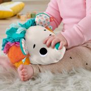 FISHER PRICE ARICIUL CU ACTIVITATI SENZORIALE VIVMTHBP42