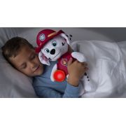 PATRULA CATELUSILOR PLUS SNUGGLE UP MARSHALL CU BURTICA LUMINOASA VIV6035475_20126776