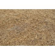 Saltea MyKids Fibra De Cocos Integral 120x60x6 Husa Bumbac Nematlasat 00008160