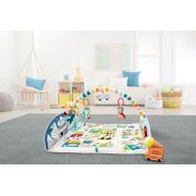 FISHER PRICE COVOR ACTIVITATI IN ORAS VIVMTGJD41