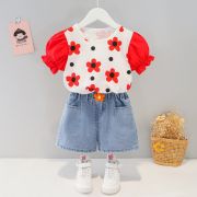 Costumas cu bluzita cu flori rosii si pantalonasi din blugi (marime disponibila: 6-9 luni (marimea 19 incaltaminte)) mbxq1895-1-dg.6-9 luni (marimea 19 incaltaminte)